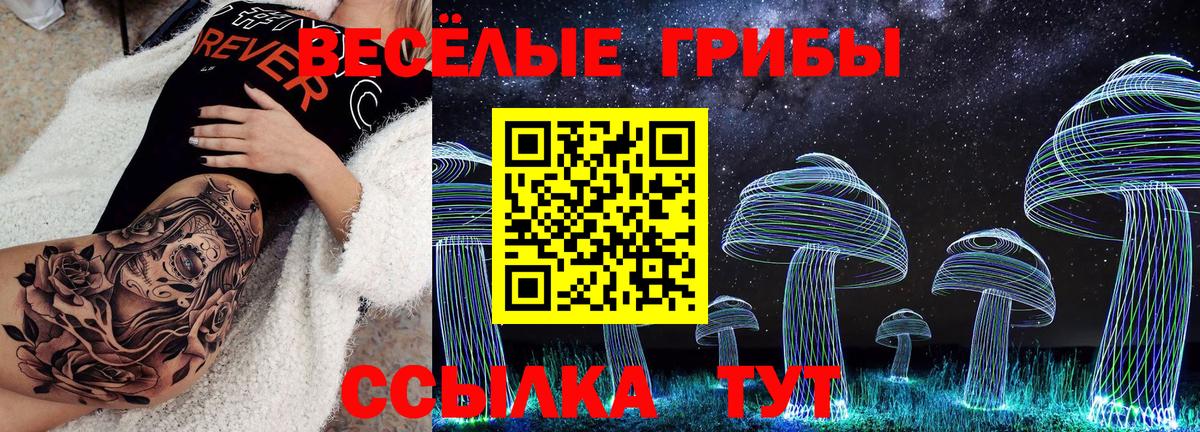 Псилоцибиновые грибы мицелий  Псилоцибиновые грибы Psilocybine cubensis  Озёры  Вход с VPN 