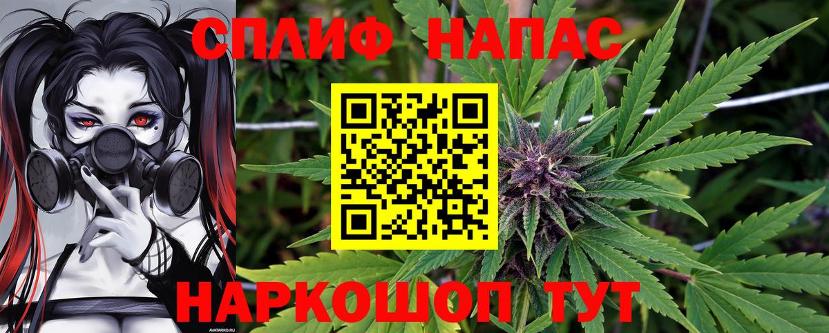 Бошки Шишки планчик  Каннабис сатива  Озёры  Вход с VPN 